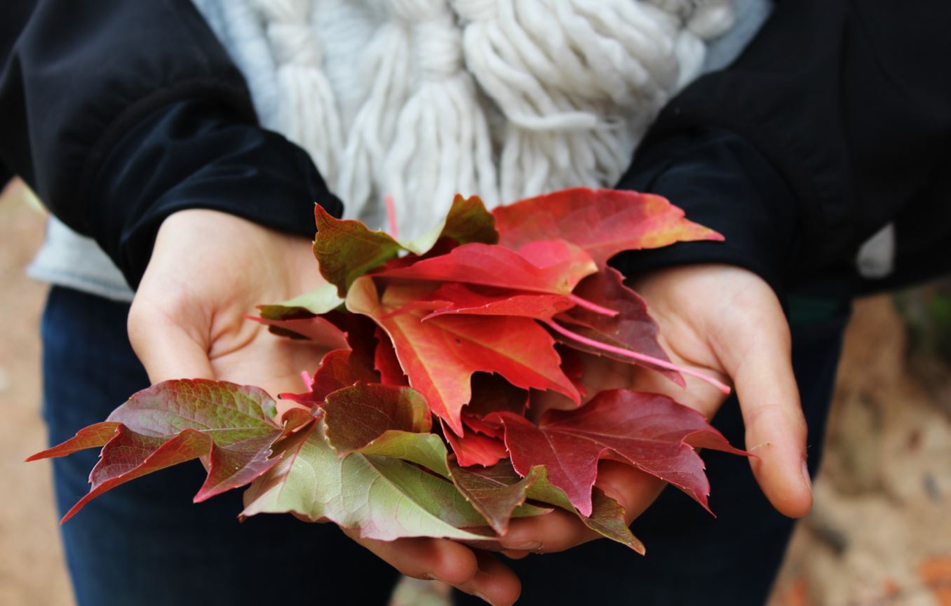 cremation services in Garyville, LA