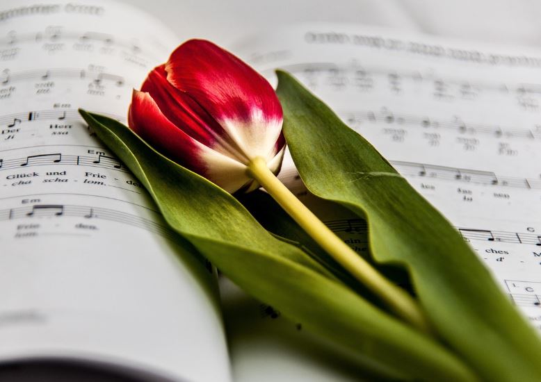 Red tulip resting on open sheet music, simple tribute tradition, cremation services LaPlace, LA