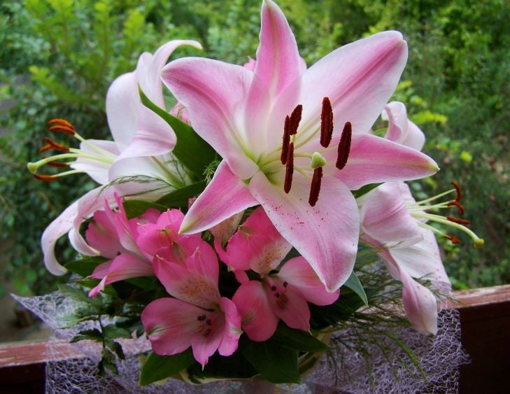 Pink lily bouquet for a meaningful funeral today, funeral homes LaPlace, LA support